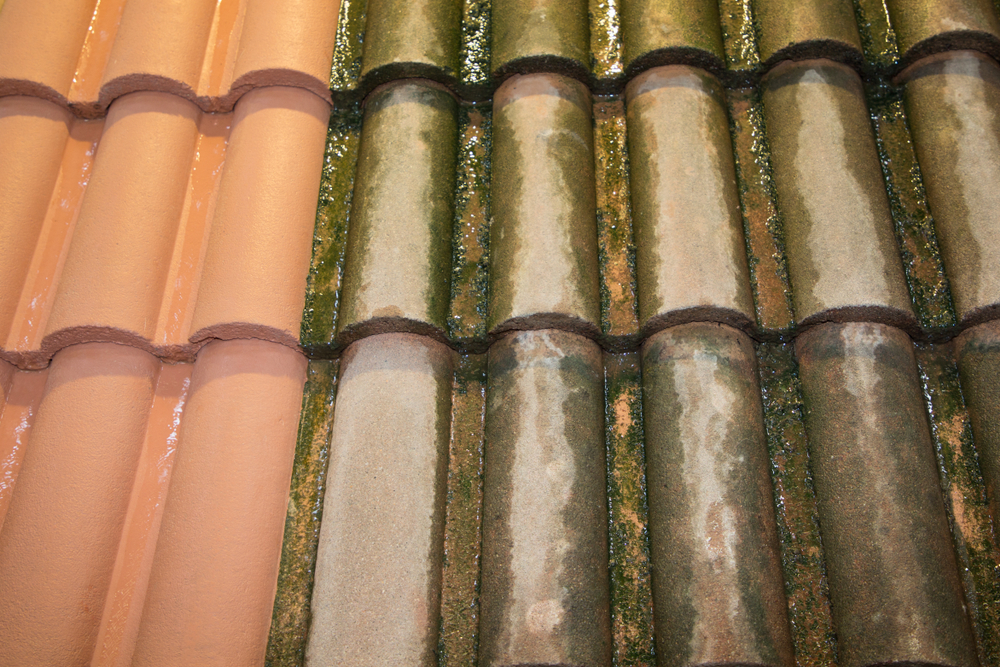 Nettoyage et démoussage de toiture dans l'Ain : Préserver la durabilité et l'esthétique de votre toit